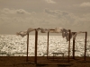 palma_beach_2