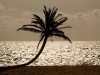 palma_beach_3