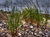 IMG_5588_bearbeitet-1_tonemapped